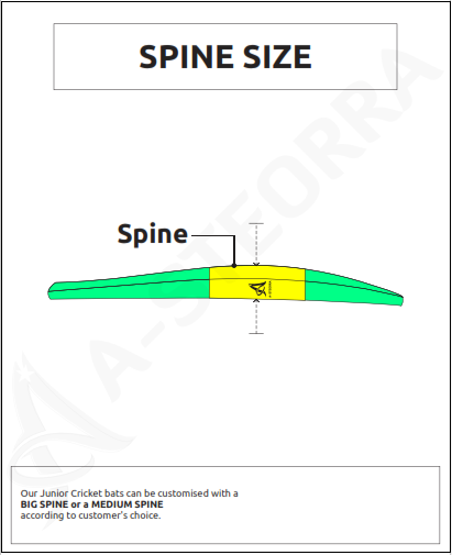 Agni Size 6